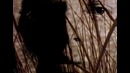 Sandra – Heaven Can Wait