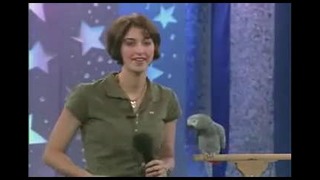 Говорящий попугай =)
