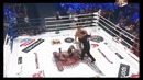 Дмитрий Сосновский vs. Александр Емельяненко