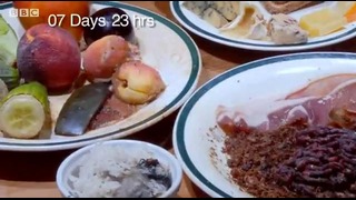 Что может произойти с едой за 13 дней