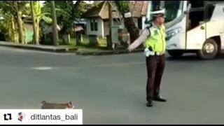 Добрый полицейский