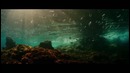 Эволюция — Русский трейлер (2016)