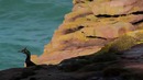 Nat Geo Wild: Дикая Франция