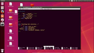 20.Linux для Начинающих – Скрипты Linux Bash, Часть-2
