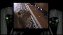 Madevil – death cats – mmv
