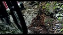 Life Cycles – Shimano 2010 Rus