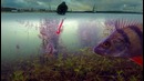 Зимняя рыбалка на окуня. Подводная камера