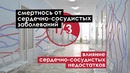 Синьнаокан – здоровые сосуды