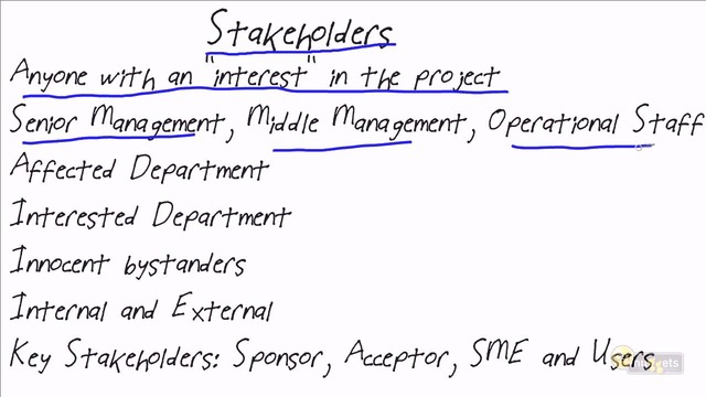 PMP 5th. Lesson 5/30. Project Management, Stakeholders and Governance