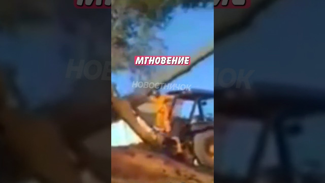 Горе-работники хотели свалить дерево трактором, но всё пошло не по плану! | Новостничок