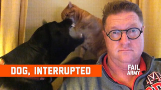 Dog, Interrupted (May 2020) | FailArmy