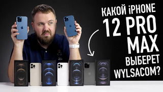 Какого цвета iPhone 12 Pro Max выберет Wylsacom