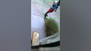 Committing a crime WITH a camera While getting caught ON camera, also