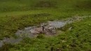 Неудачный прыжок через лужу на велосипеде