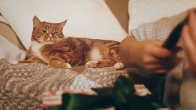 Ёлка. на каленке