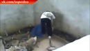 Парень не церемонится со змеями