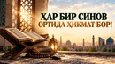 АР БИР СИНОВ ОРТИДА ҲИКМАТ БОР