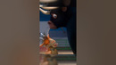 Удачное свидание вслепую#кино #фильмы #фильм #movie #film #прикол #мультик #мультфильм #shorts