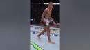 Alex Pereira’s WILD Flying Knee KO