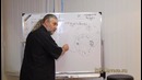 Женская логика наконец раскрыта