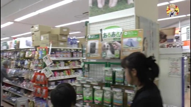 Зоомагазин в Японии. Стоимость Животных в Японии