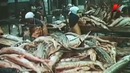 Бренды советской эпохи. Чёрная икра