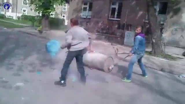 Coub лучшее за 2017 год