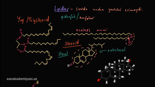 40 Lipidlar | Uglerodning xususiyatlari | Biologiya | Khan Academy Oʻzbek