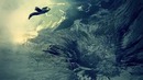 Experience Zero Gravity