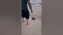 Lauren.bp is a crab’s best friend. Here’s why