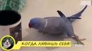 Эти фразы порвали интернет или смешные фразы #18