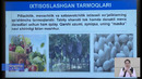 8-sinf. Geografiya. Qashqadaryo viloyati