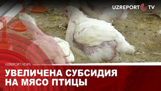 Увеличена субсидия на мясо птицы