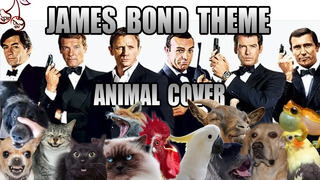 James Bond Main Theme, but it’s sounds like animals
