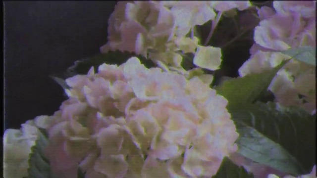 Bang Yongguk (B.A.P)– Portrait (MV)