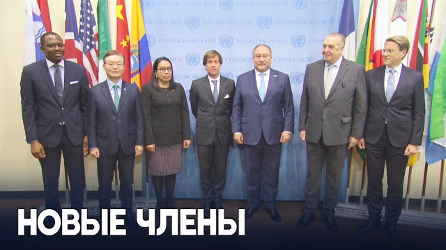 В ООН приступили к работе новые члены Совбеза