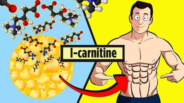 Лучшие Добавки для Похудения. l- carnitine, протеин, Lipo-6 и жиросжигатели