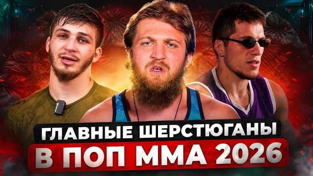 ГЛАВНЫЕ ШЕРСТЯНЫЕ БОЙЦЫ ПОП ММА В 2026 ГОДУ / Их все ненавидят