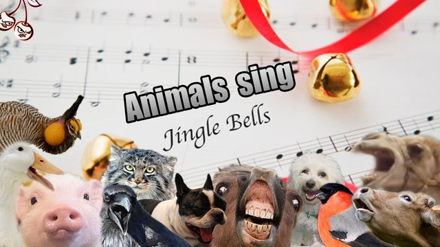 JINGLE BELLS but all sources are NEW