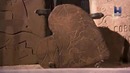 Музейные тайны 2 Сезон 5 Серия