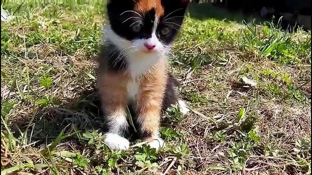 Slivki show – куки в детстве