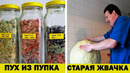 60 странных коллекций, которые удивят кого угодно