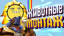 ЖИВОТНЫЕ – МОНТАЖ (Дота 2 Приколы и Мемы)