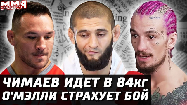 Сегодня UFC, Bellator. Чимаев в 84кг. О’Мэлли страхует UFC 288. ВОЛК июль? Крылов, Амосов, Джейк Пол