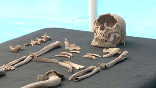 Захоронения времён раннего колониального периода нашли в Мехико