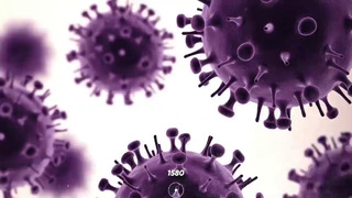 Краткая история Вирусов – Убьет ли Коронавирус всё человечество