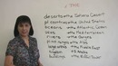 Speaking English – When to use ‘THE’ with places