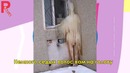 Неодушевленные предметы, у которых есть лица