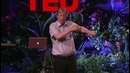 TED | Робот, который летает как птица