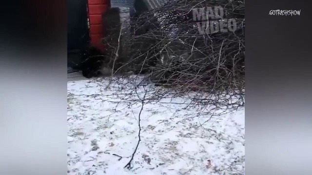 Лучшие приколы Декабрь 2017 – Best Jokes Compilation #79